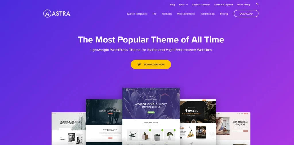 Astra WordPress Theme Performance and Speed